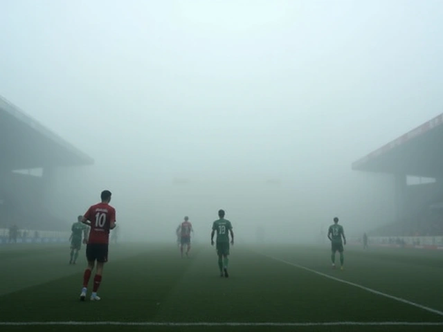 Suspensão de Jogo entre CD Nacional e SL Benfica na I Liga Devido a Densa Nevoeiro