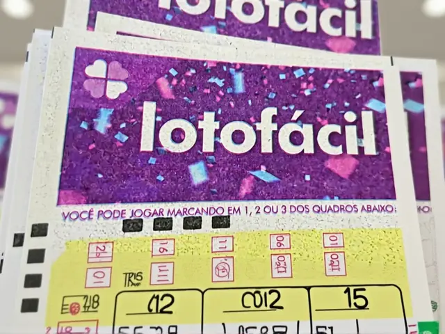 Lotofácil 3686: 3 bilionários e R$ 466 mil em cada aposta
